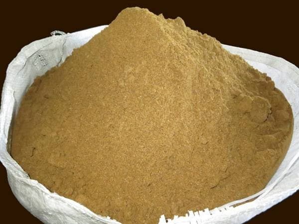 Pangasius fish meal 65_ protein